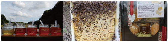 bee