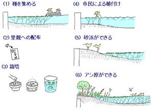 人と湖を結ぶ アサザの里親制度 認定npo法人 アサザ基金