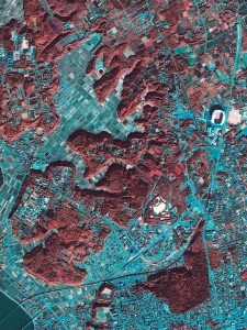 鹿嶋衛星画像