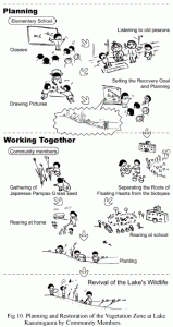 Fig.10 Planning and Restoration of the Vegetation Zone at Lake Kasumigaura by Community Members