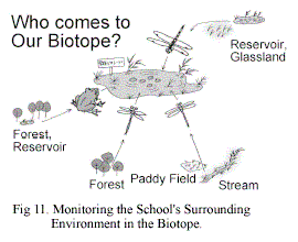 Fig.11 Monitoring the School's Surrounding Environment in the Biotope