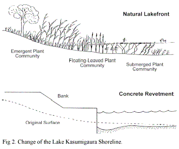 Change of the Lake Kasumigaura Shoreline