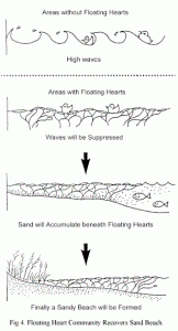 Floating Heart Community Recovers Sand Beach