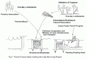 Forest Conservation Linking the Lake Reviving Project