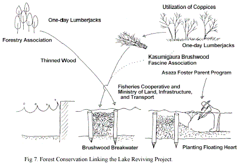 Forest Conservation Linking the Lake Reviving Project