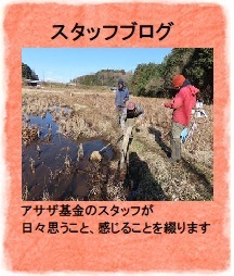 スタッフブログ