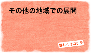 その他の地域での展開