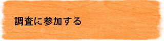 調査に参加する