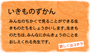 いきものずかん