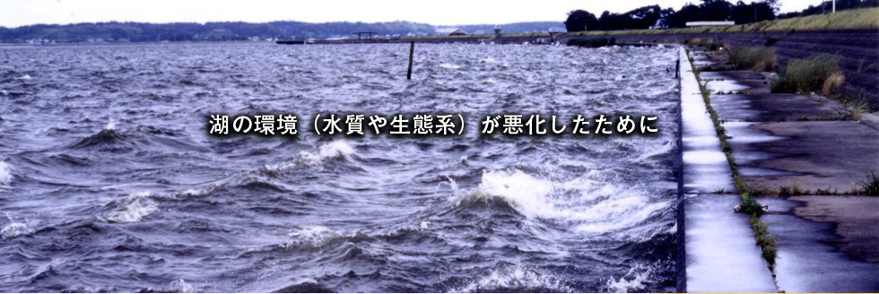 湖の環境（水質や生態系が悪化したために）
