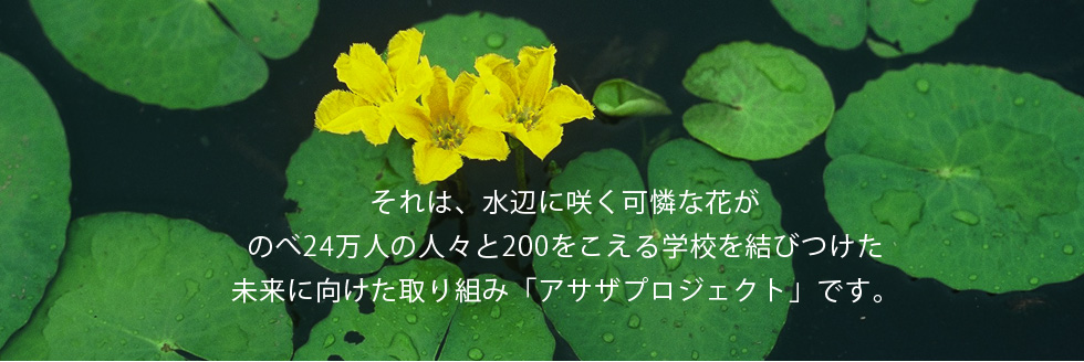 それは、水辺に咲く可憐な花がのみ24万人の人々と200をこえる学校を結びつけた未来に向けた取り組み「アサザプロジェクト」です。